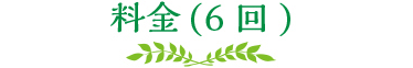 料金(6回)