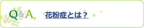 Q&A 花粉症とは？