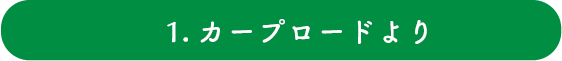 1. カープロードより